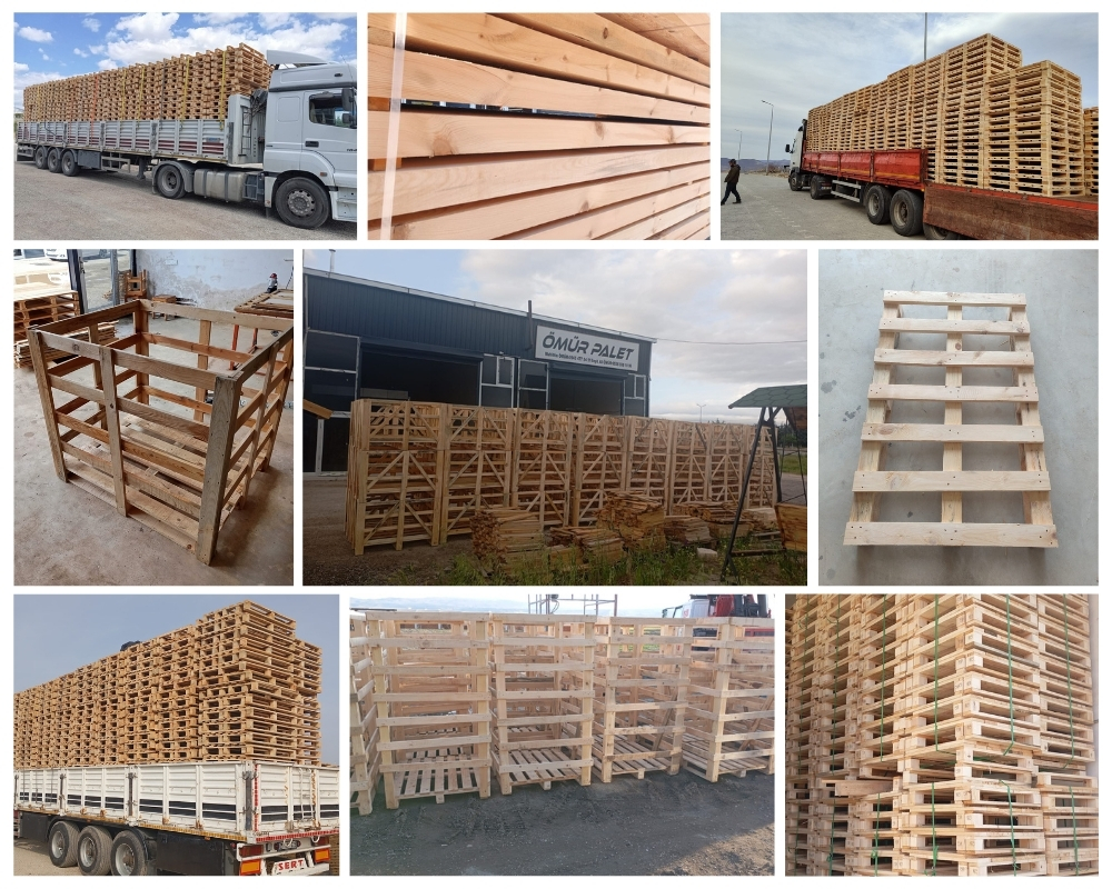 Warmond Houten Kisten, Europallets Groothandel Kopen
